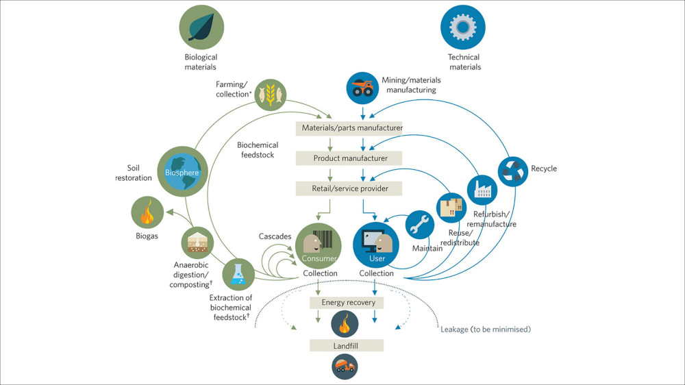 What Is Economic Design